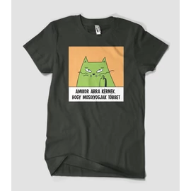 amikor-arra-kérnek-macskás-póló